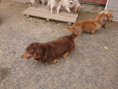 f:id:roukenhome-ann:20190519063959j:plain