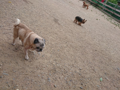 f:id:roukenhome-ann:20190519064014j:plain