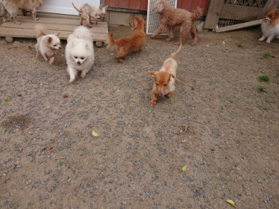 f:id:roukenhome-ann:20190519064024j:plain