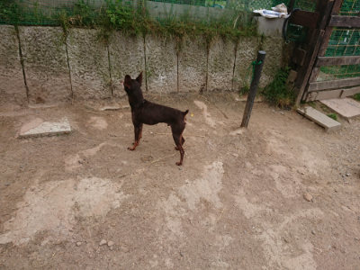 f:id:roukenhome-ann:20190519064034j:plain