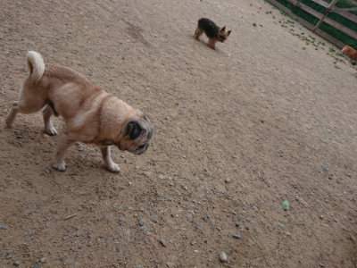 f:id:roukenhome-ann:20190519064039j:plain