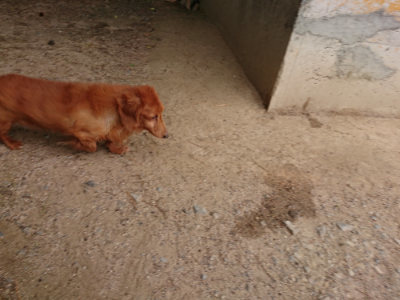 f:id:roukenhome-ann:20190519064046j:plain