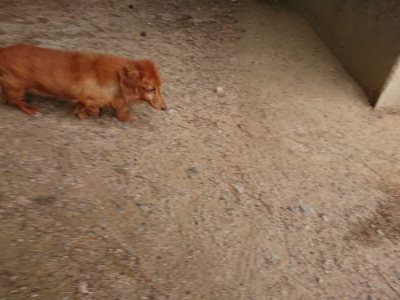 f:id:roukenhome-ann:20190519064116j:plain
