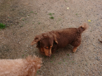 f:id:roukenhome-ann:20190519064123j:plain