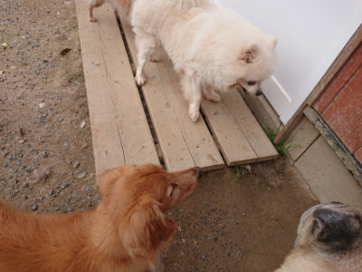 f:id:roukenhome-ann:20190519064150j:plain