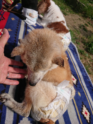 f:id:roukenhome-ann:20190519110531j:plain