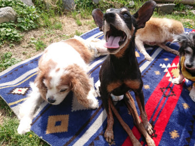 f:id:roukenhome-ann:20190519110611j:plain