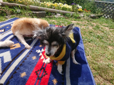 f:id:roukenhome-ann:20190519110614j:plain