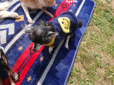 f:id:roukenhome-ann:20190519110625j:plain