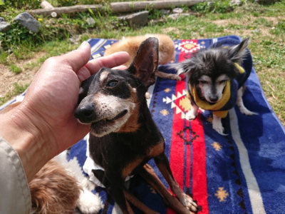 f:id:roukenhome-ann:20190519110649j:plain