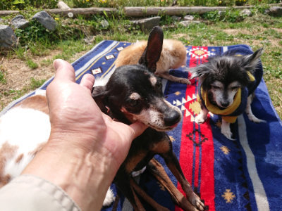 f:id:roukenhome-ann:20190519110656j:plain