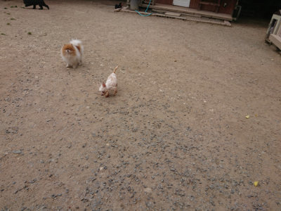 f:id:roukenhome-ann:20190519112544j:plain