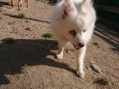 f:id:roukenhome-ann:20190519112549j:plain