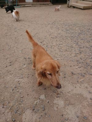 f:id:roukenhome-ann:20190519112601j:plain