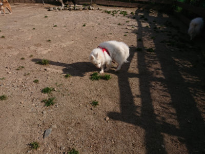 f:id:roukenhome-ann:20190519112620j:plain