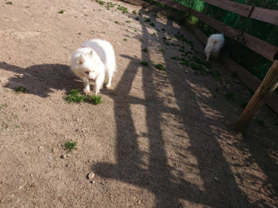 f:id:roukenhome-ann:20190519112634j:plain