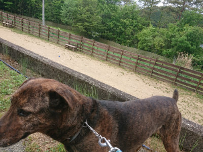 f:id:roukenhome-ann:20190519112641j:plain