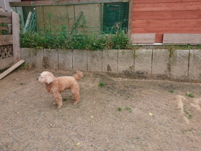 f:id:roukenhome-ann:20190519112647j:plain