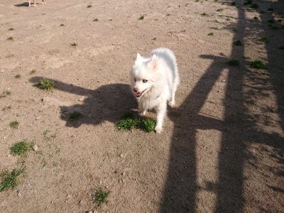 f:id:roukenhome-ann:20190519112710j:plain