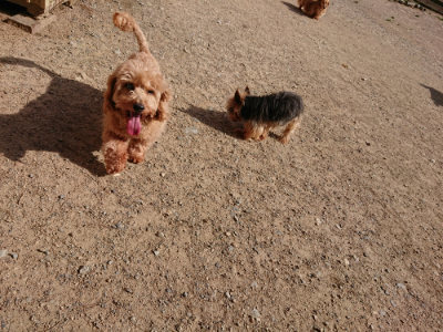 f:id:roukenhome-ann:20190519112736j:plain