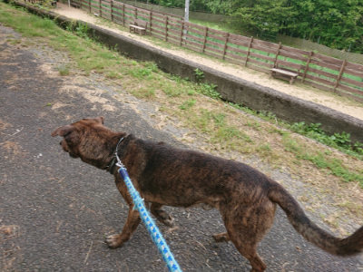 f:id:roukenhome-ann:20190519112816j:plain