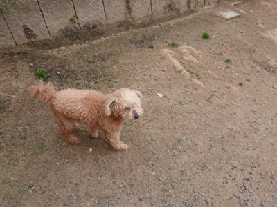 f:id:roukenhome-ann:20190519112824j:plain
