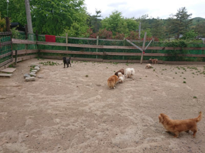 f:id:roukenhome-ann:20190519112853j:plain