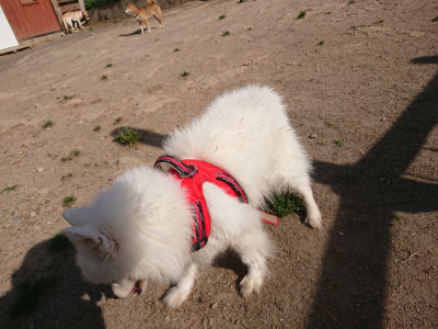 f:id:roukenhome-ann:20190519112924j:plain