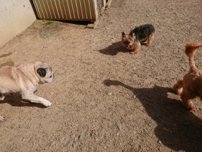 f:id:roukenhome-ann:20190519112940j:plain