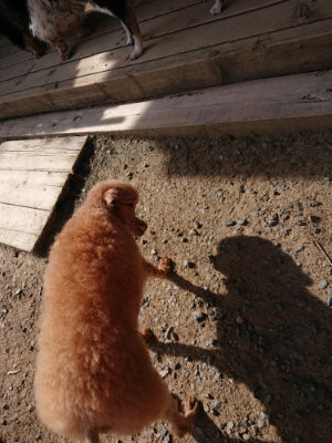 f:id:roukenhome-ann:20190519112948j:plain