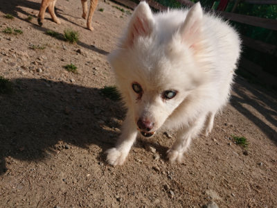 f:id:roukenhome-ann:20190519112954j:plain