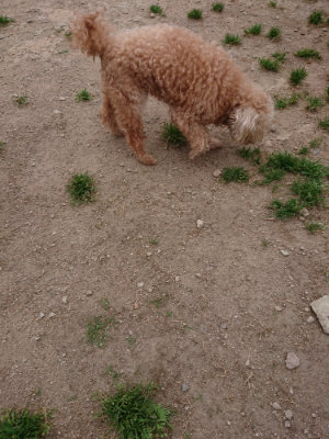 f:id:roukenhome-ann:20190519113019j:plain