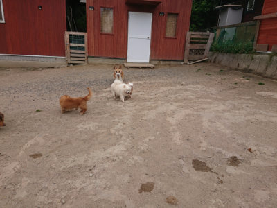 f:id:roukenhome-ann:20190519113038j:plain