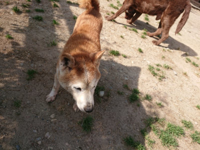 f:id:roukenhome-ann:20190519113045j:plain