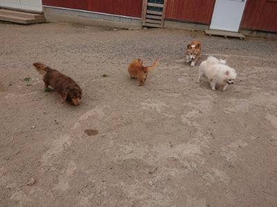 f:id:roukenhome-ann:20190519113111j:plain