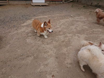 f:id:roukenhome-ann:20190519113140j:plain