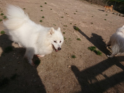 f:id:roukenhome-ann:20190519113146j:plain