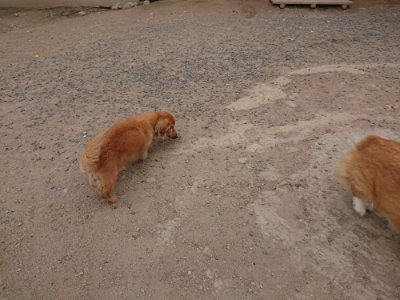f:id:roukenhome-ann:20190519113157j:plain