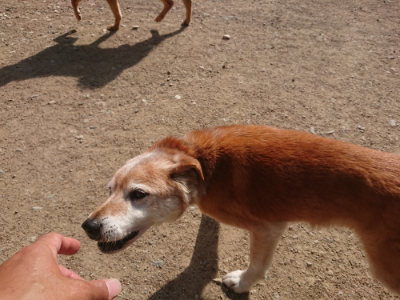 f:id:roukenhome-ann:20190519113209j:plain