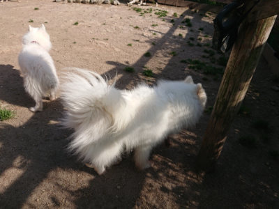 f:id:roukenhome-ann:20190519113219j:plain