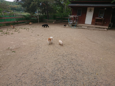 f:id:roukenhome-ann:20190519113223j:plain