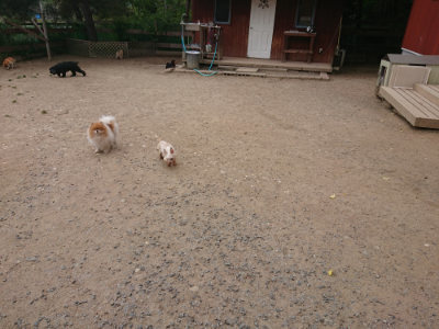 f:id:roukenhome-ann:20190519113228j:plain