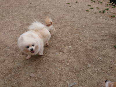 f:id:roukenhome-ann:20190519113323j:plain