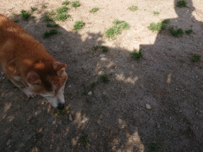 f:id:roukenhome-ann:20190519113340j:plain