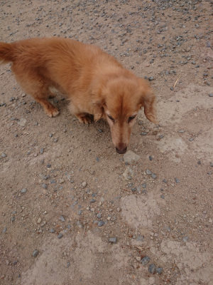 f:id:roukenhome-ann:20190519113347j:plain