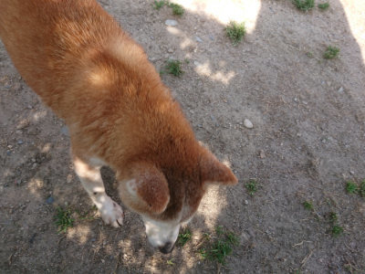 f:id:roukenhome-ann:20190519113355j:plain