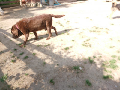 f:id:roukenhome-ann:20190519113402j:plain