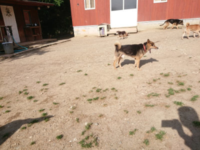 f:id:roukenhome-ann:20190519113413j:plain