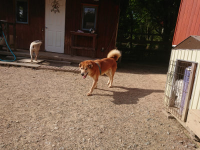 f:id:roukenhome-ann:20190519113442j:plain