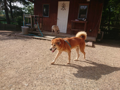 f:id:roukenhome-ann:20190519113448j:plain